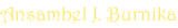shapeimage_8_link_0